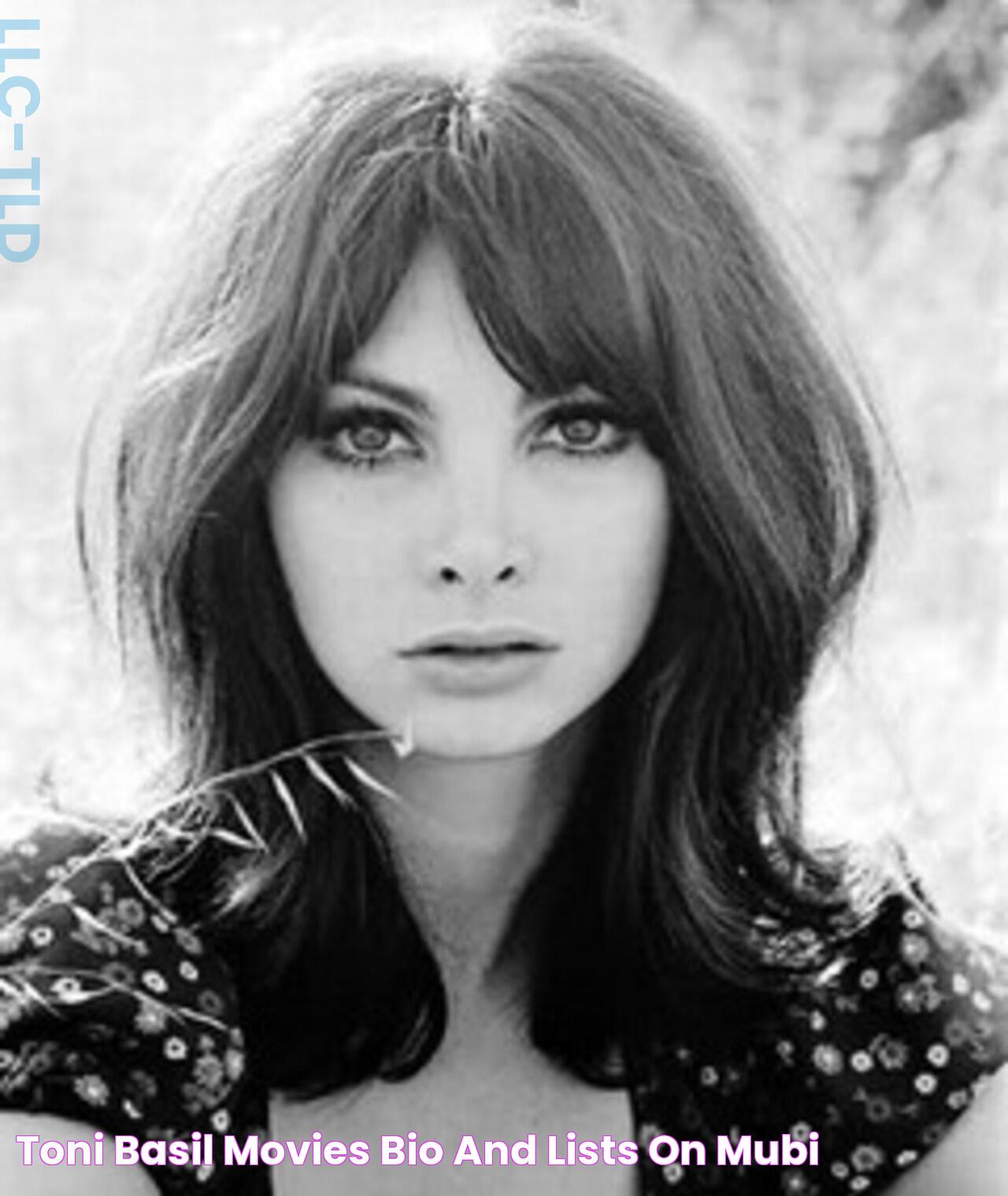 Toni Basil Movies, Bio and Lists on MUBI