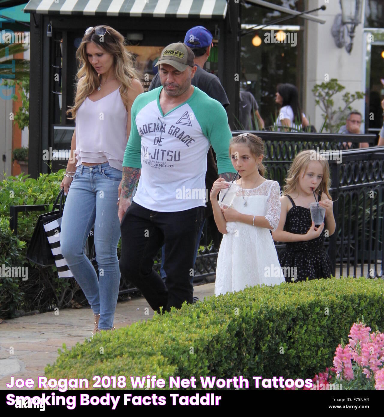 Joe Rogan 2018 Wife, net worth, tattoos, smoking & body facts Taddlr