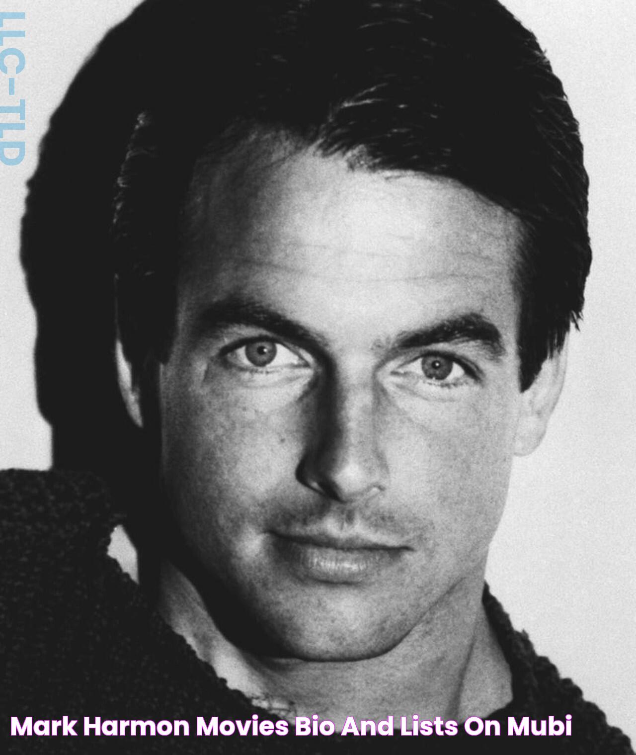 Mark Harmon Movies, Bio and Lists on MUBI