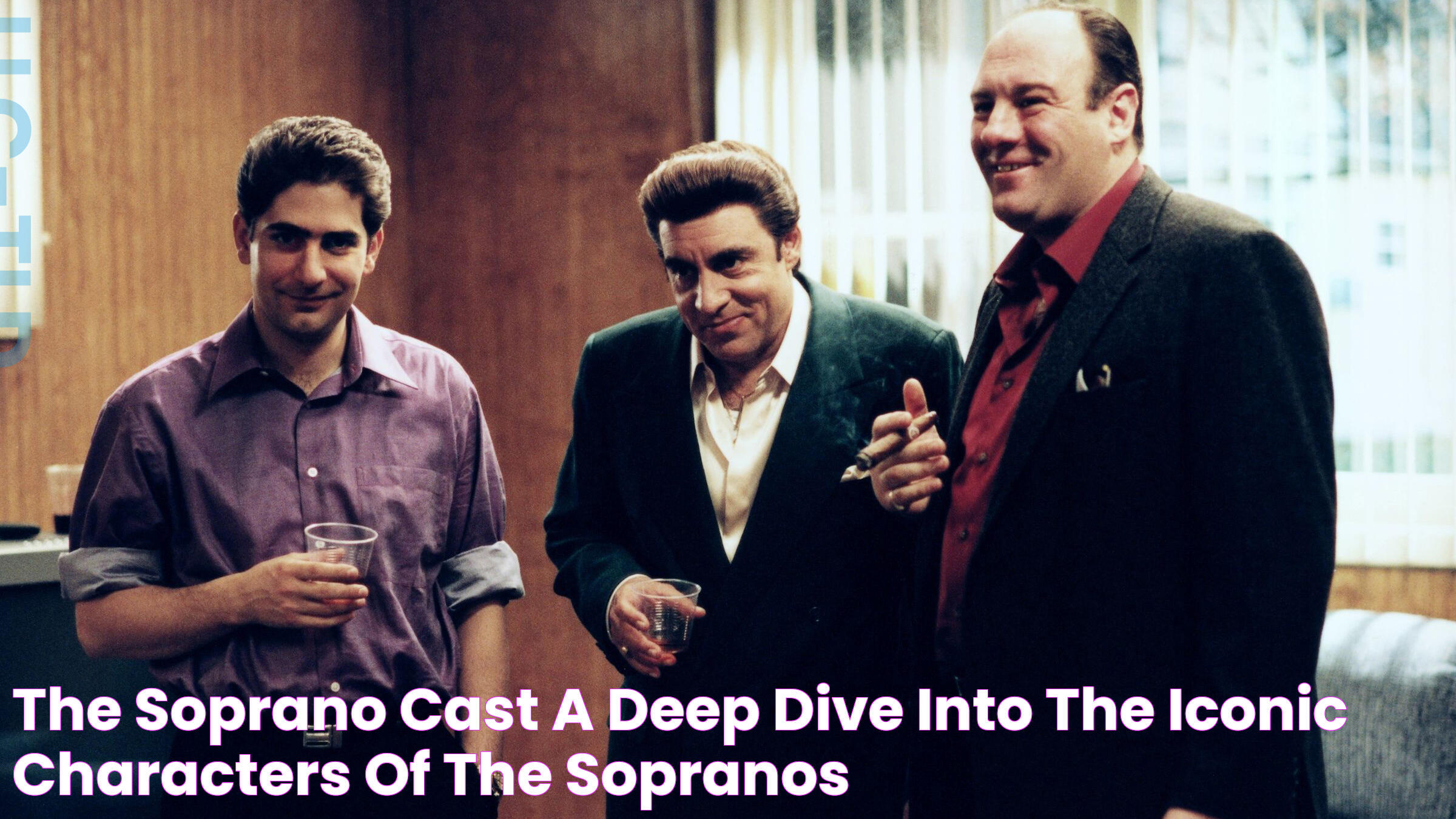 The Soprano Cast A Deep Dive Into The Iconic Characters Of The Sopranos