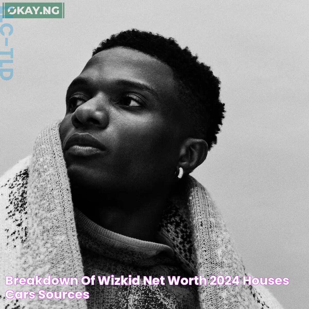 Wizkid Net Worth 2024: A Deep Dive Into The Starboy's Wealth