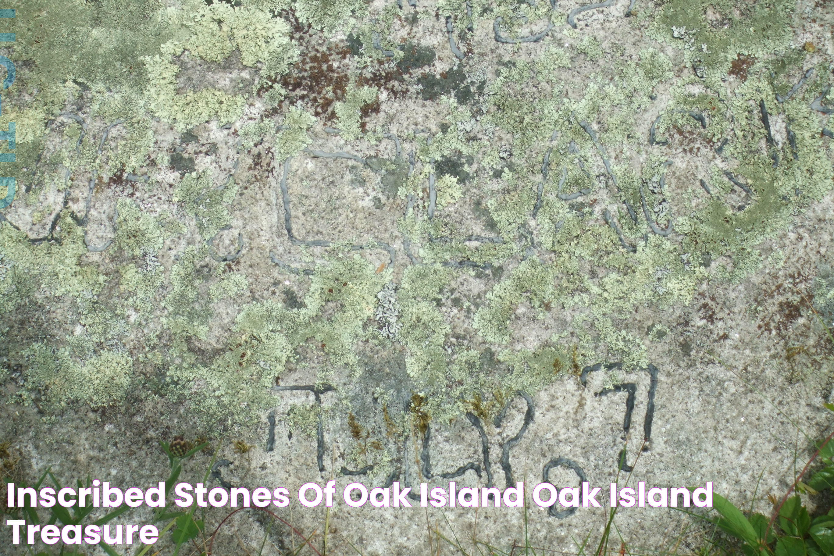 Did They Finally Find The Treasure On Oak Island? The Intriguing Hunt And Its Secrets