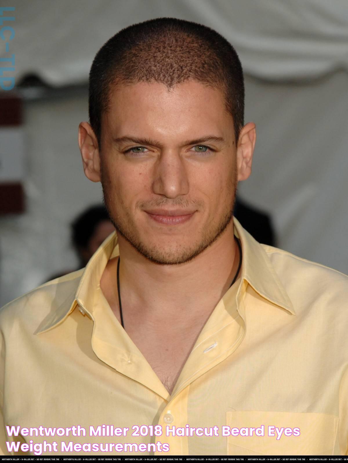 Wentworth Miller: A Closer Look At His Life, Career, And Legacy