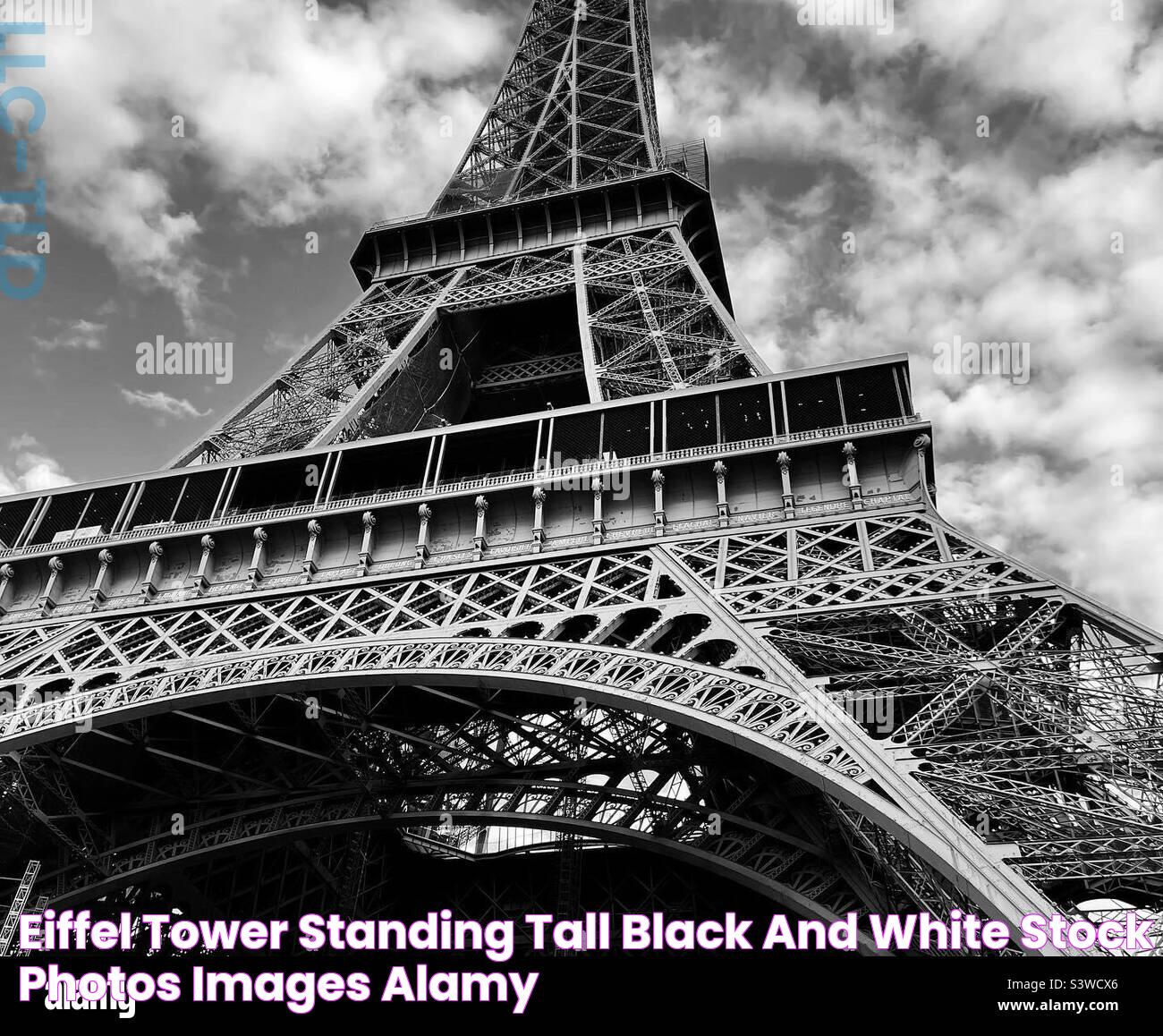 Eiffel tower standing tall Black and White Stock Photos & Images Alamy