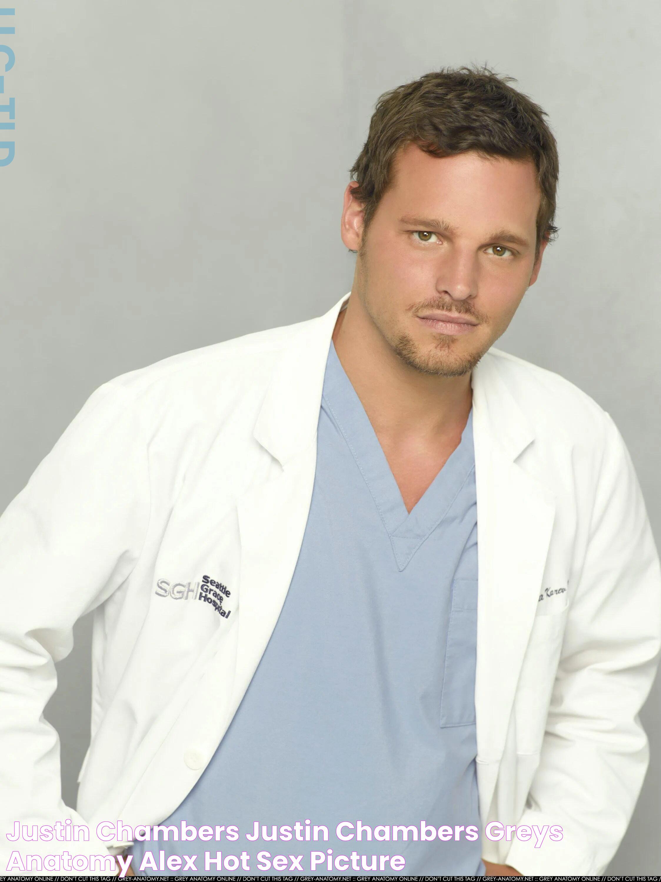 Justin Chambers Justin Chambers Greys Anatomy Alex Hot Sex Picture