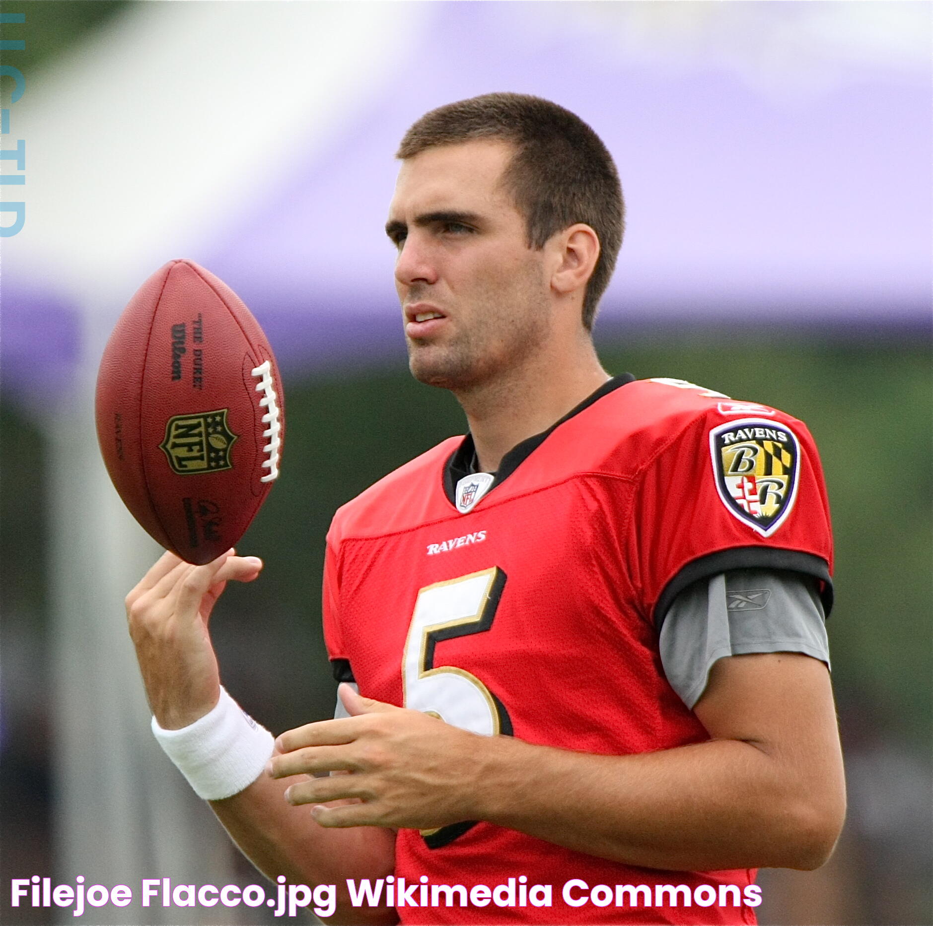 Where Is Joe Flacco From? A Comprehensive Look At His Roots