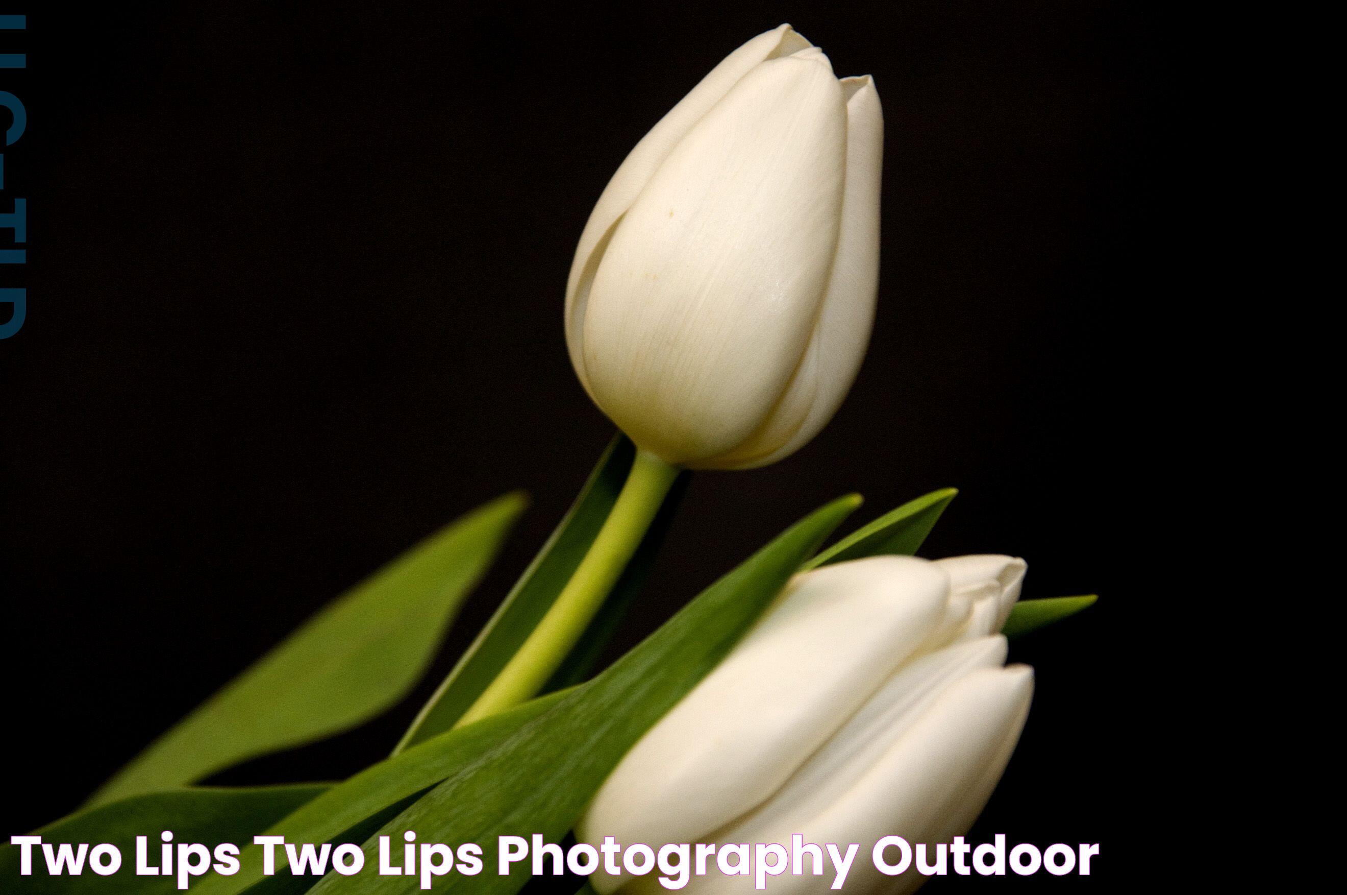 Two Lips Two lips, Photography, Outdoor