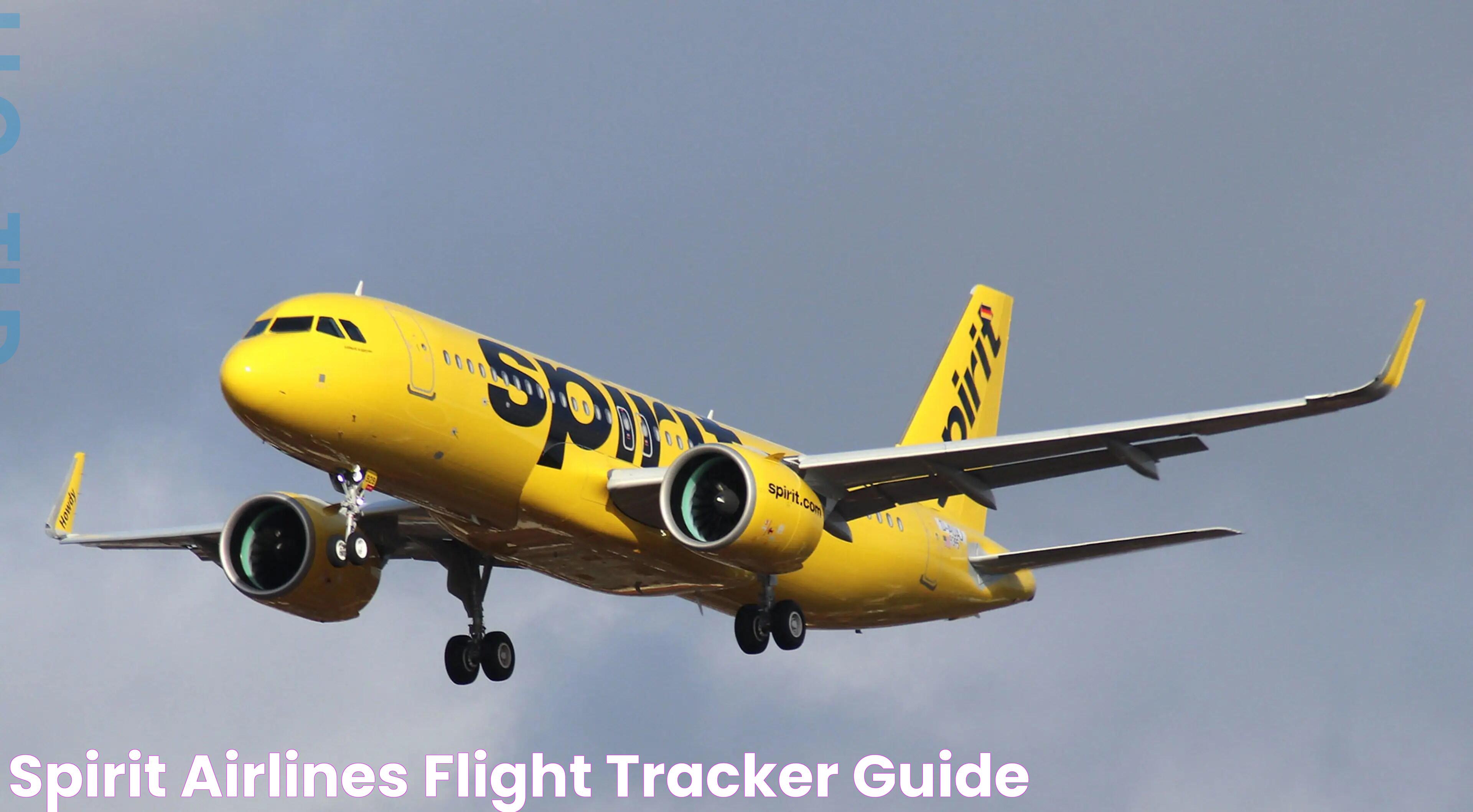 Spirit Airlines Flight Tracker & Guide